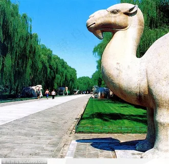 明十三陵-神兽骆驼