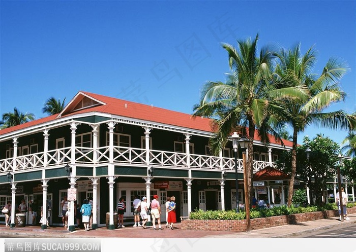 加勒比 旅游 蓝天 热带树木