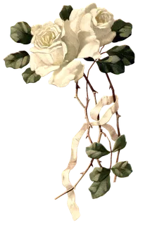 古典花卉png免扣素材