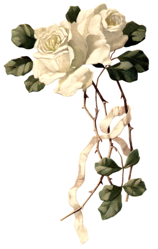 古典花卉png免扣素材