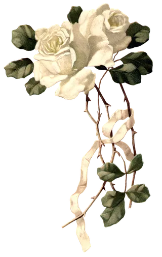 古典花卉png免扣素材