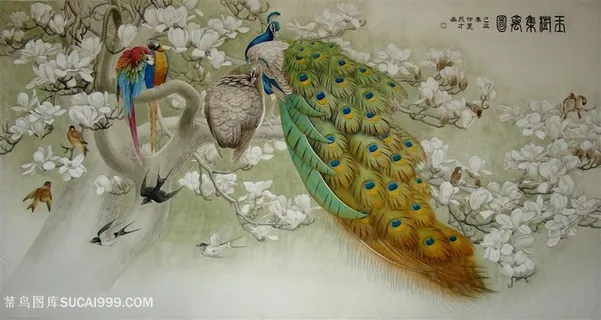 孔雀绘画图片素材 孔雀绘画图片素材