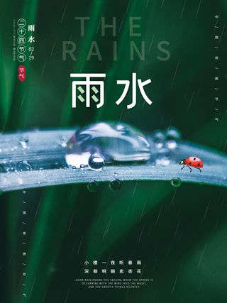 雨水节气谷雨节气海报传统二十四节气春季