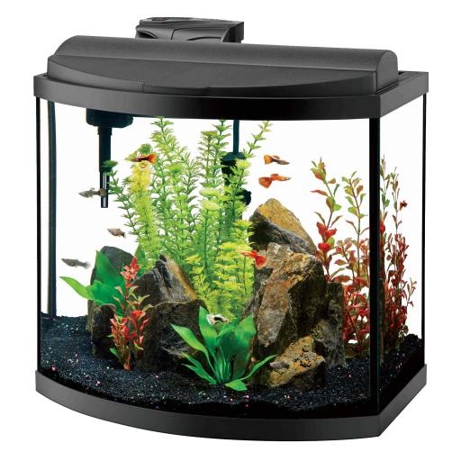水族馆 PNG免抠