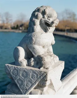 昆明湖十七孔桥-威武的石狮子侧面