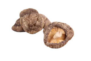 香菇 (11)超市商品白底图免抠实物摄影png格式图片透明底