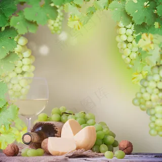 青葡萄与干白图片