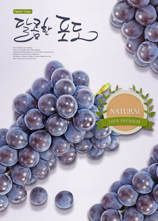 韩国食物葡萄素材