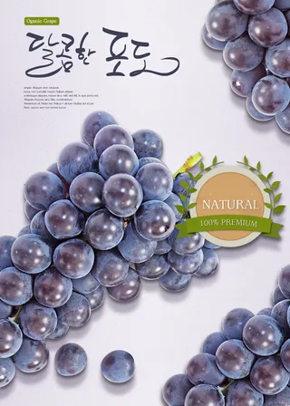 韩国食物葡萄素材