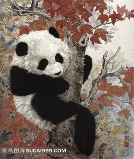 熊猫宝宝高清大图