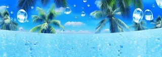 夏日椰树水珠冰爽背景