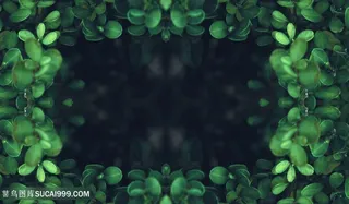 绿色植物背景