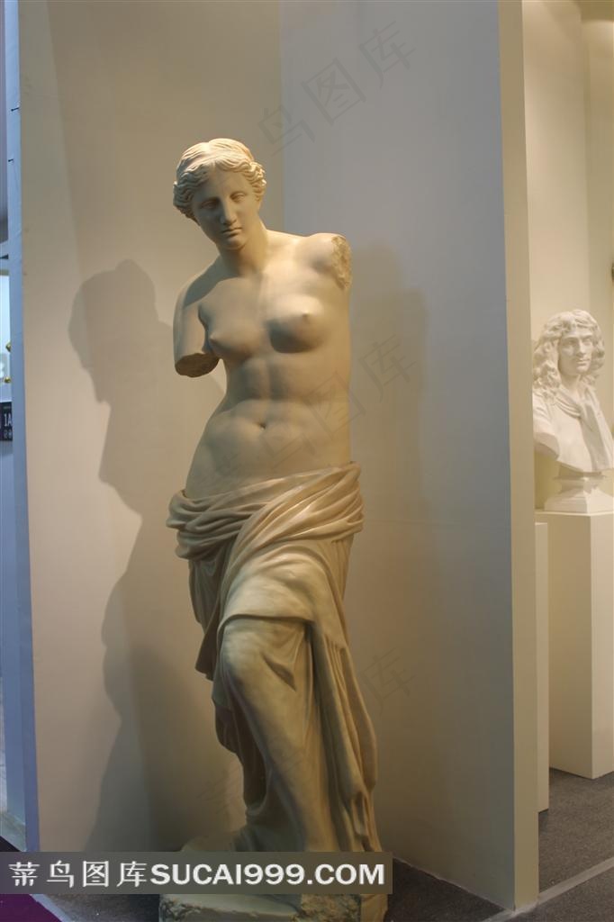 维纳斯高清素材