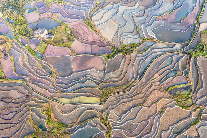 爱村蓝色梯田