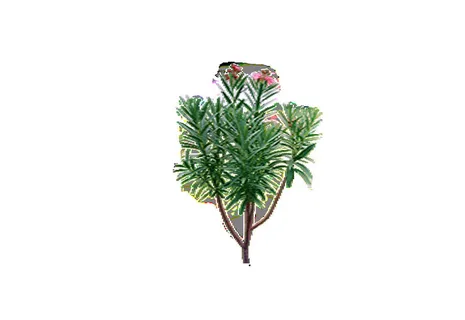 树免抠素材 树免抠素材