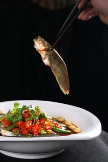 XCXC0060巴蜀秘制河鲢