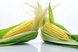 刨开的玉米摄影图