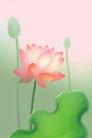 创意意境荷花粉色雾面背景