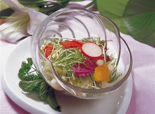 1009LC-0519山野大拌菜