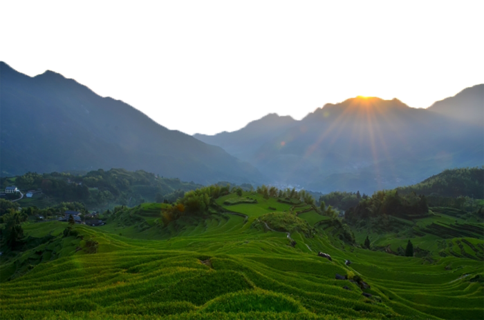 现代农业山区