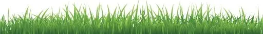 草PNG图片，绿草PNG图片免抠(3496x460)