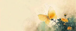 温馨纹理橙色花朵鲜花蝴蝶意境唯美，中国风