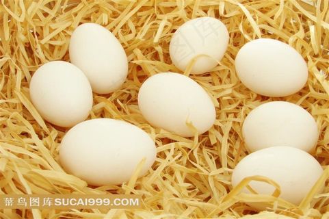 白鸡蛋素材图片