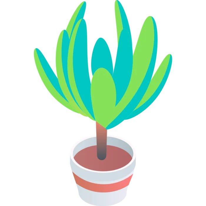 立体风格盆栽装饰