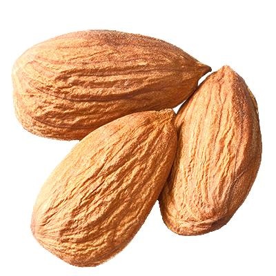 杏仁 PNG免抠(400x400)
