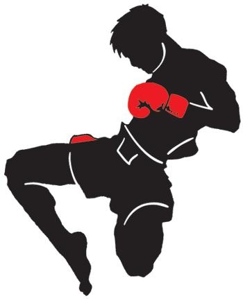 泰拳 PNG免抠(350x431)