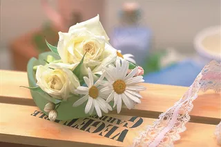 摄影玫瑰花图片