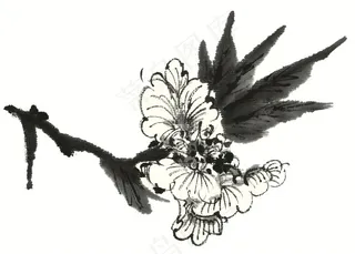 写意花卉文化艺术美图素材