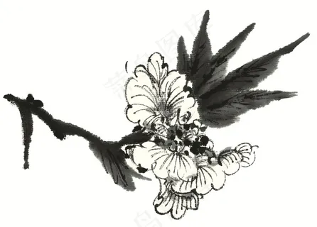 写意花卉文化艺术美图素材 写意花卉文化艺术美图素材