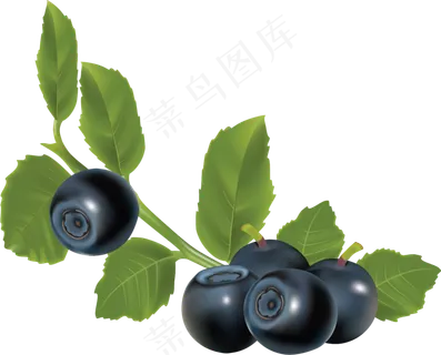 水果鲜水果蓝莓免抠素材