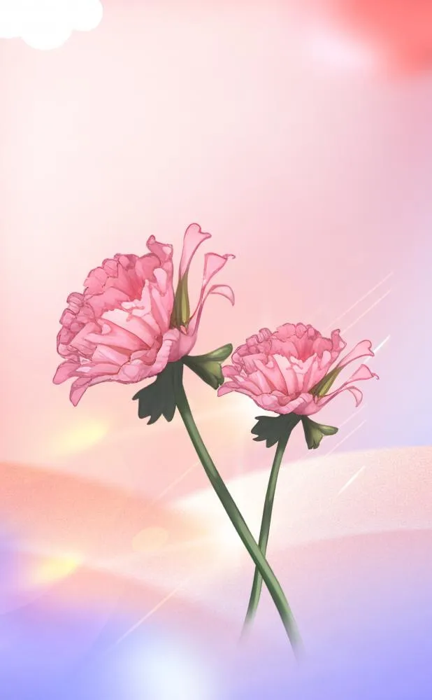 母亲节康乃馨花粉色背景(2048x3311)