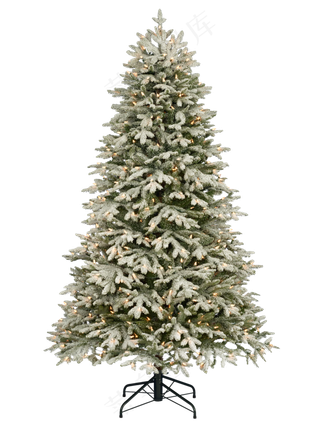 圣诞树 雪 孤立 枞树 圣诞节的时候 灯光 圣诞节 圣诞装饰