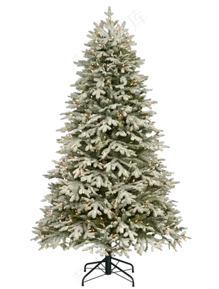 圣诞树 雪 孤立 枞树 圣诞节的时候 灯光 圣诞节 圣诞装饰