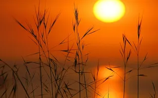 自然风光风景背景图片展板背景