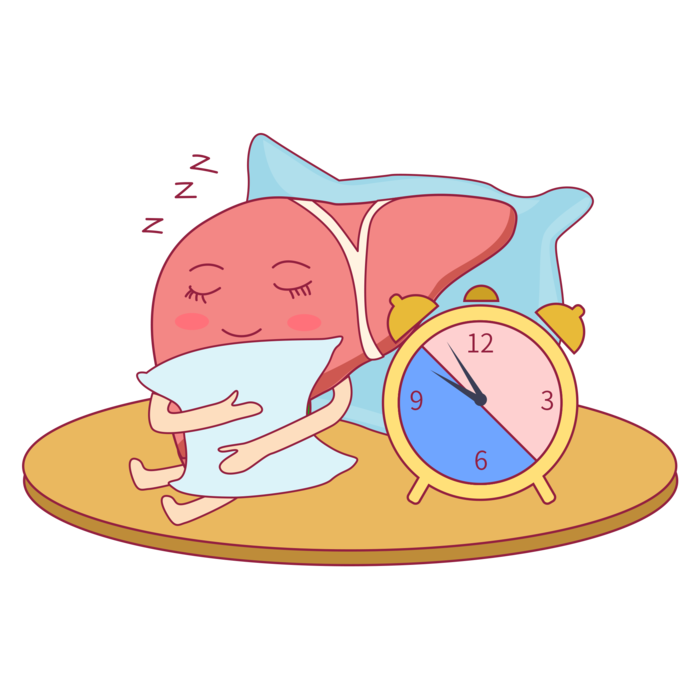 健康养肝睡眠早睡早睡身体好