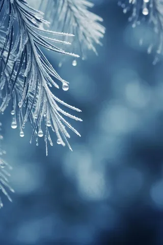 小雪蓝色冰枝简约传统节气海报背景