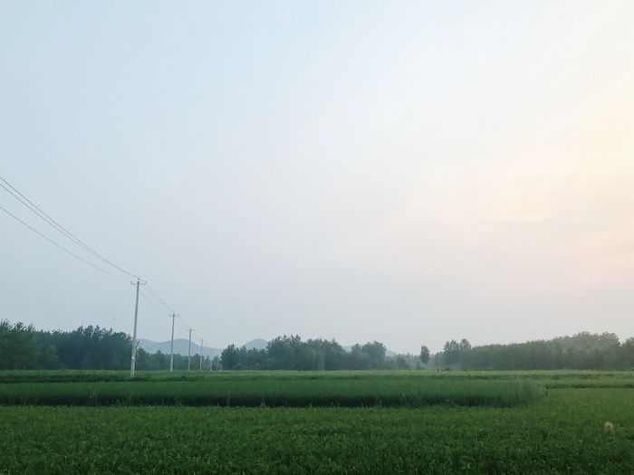 夏天的味道/乡村/清晨/手机摄影/自然/风景/农村