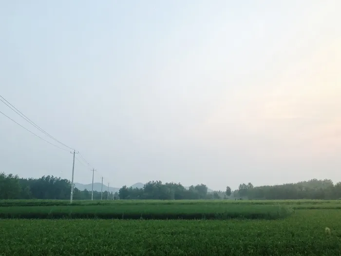 夏天的味道/乡村/清晨/手机摄影/自然/风景/农村