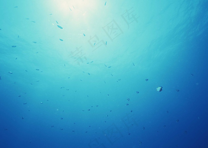 海底世界 95
