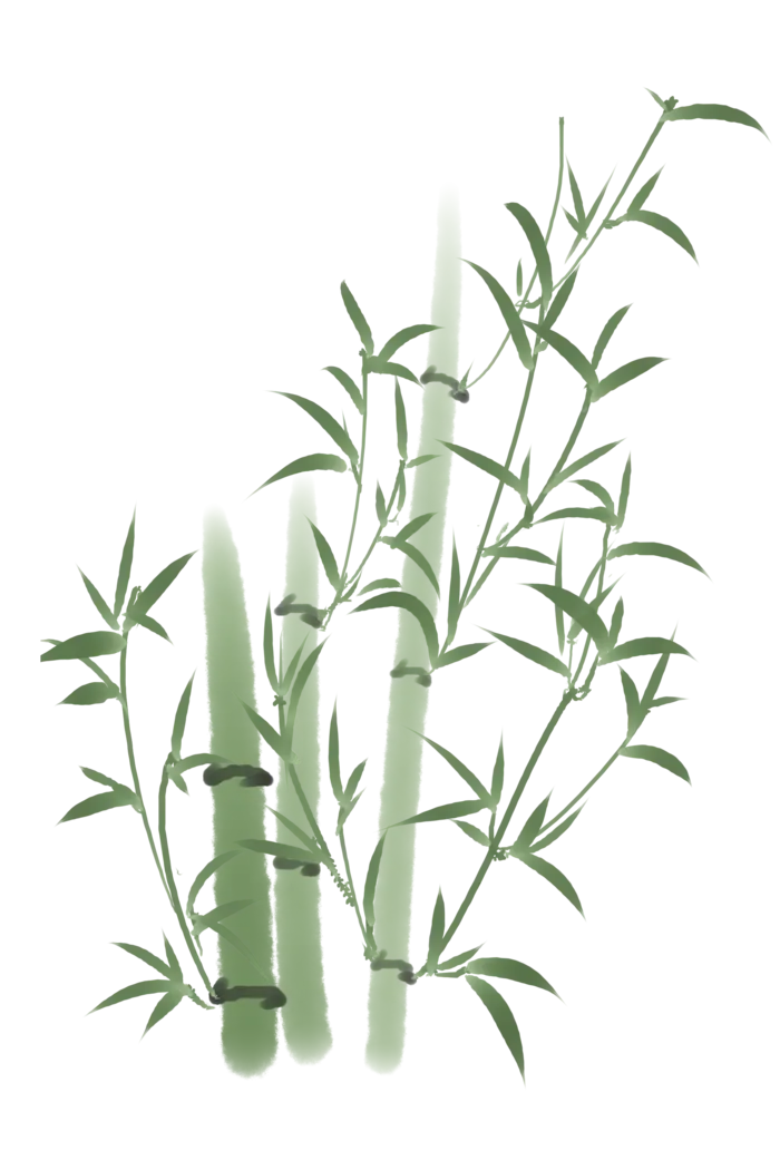 竹子水墨画中国风国画墨水书法竹子画