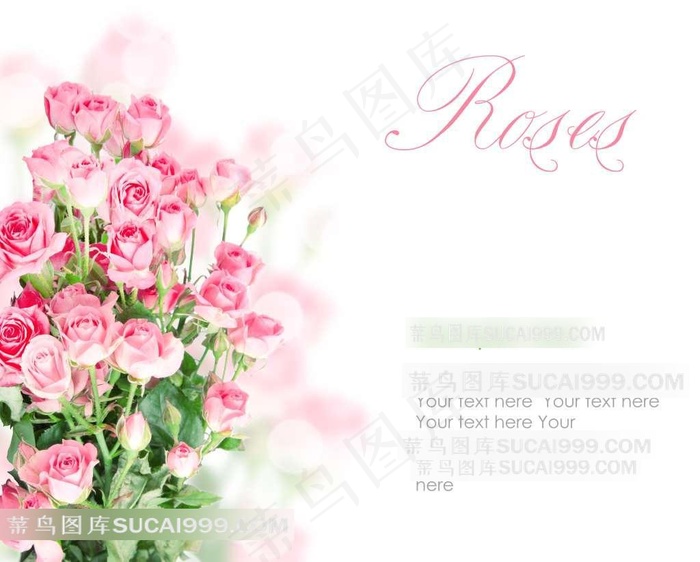 绝美茉莉花花卉背景