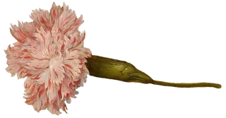 复古油画质感宫廷花卉植物花朵鲜花拼贴图案PNG免抠图片设计素材