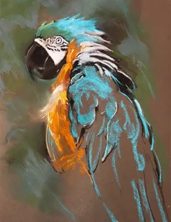 一只素描的蓝色鹦鹉 一只素描的蓝色鹦鹉