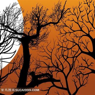 树枝装饰画素材 树枝装饰画素材