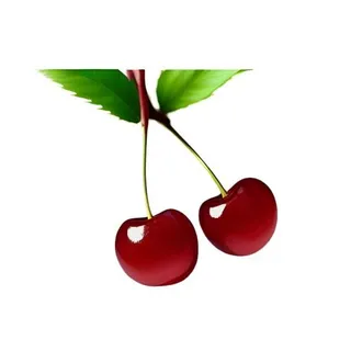 樱桃水果免抠