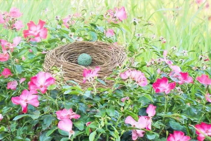 复活节鸟窝图片